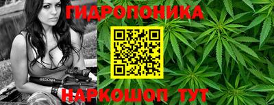 ALPHA PVP Краснодар
