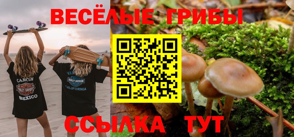 Донецк  хочу   Вход с VPN  Псилоцибиновые грибы Psilocybine cubensis 